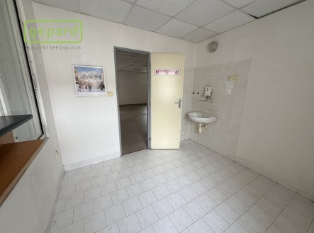 Pronájem obchodní prostory, 305 m²