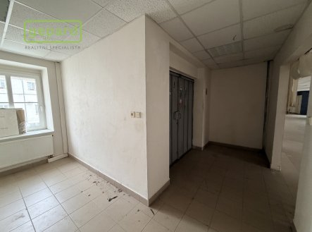 Pronájem obchodní prostory, 305 m²