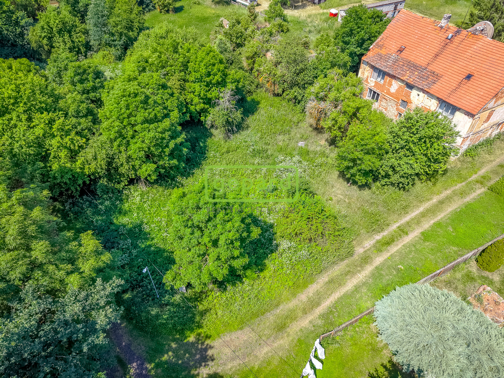 dji-20260626113905-0898-d.jpg