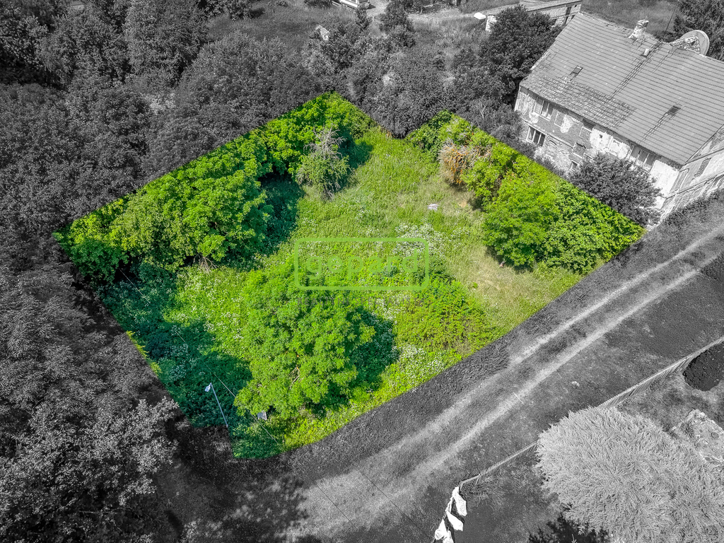 dji-20260626113905-0898-de.jpg