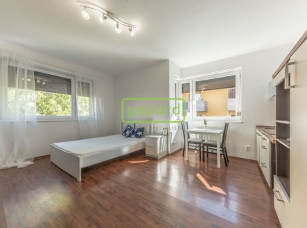 Pronájem bytu, 1+kk, 33 m²