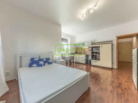 Pronájem bytu, 1+kk, 33 m²