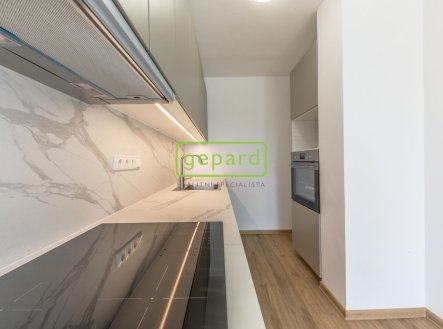 Pronájem bytu, 3+kk, 58 m²