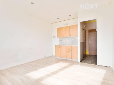 Pronájem bytu, 1+kk, 20 m²