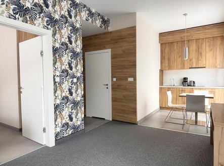 Prodej hotel, 46 m²