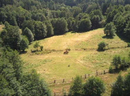 Prodej pozemku pro bydlení, 3 446 m²