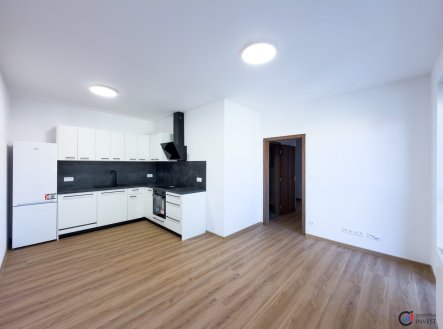 Pronájem bytu, 2+kk, 52 m²