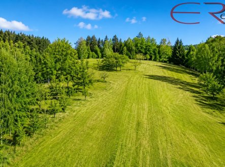 Prodej pozemku, trvalý travní porost, 2 521 m²