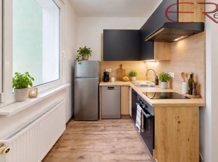 Pronájem bytu, 1+1, 41 m²