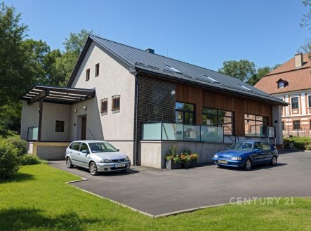 Prodej domu/vily, 410 m²