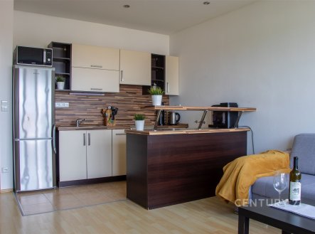 Prodej bytu, 2+kk, 50 m²