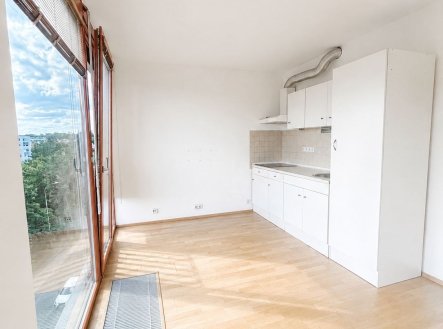 Pronájem bytu, garsoniéra, 37 m²