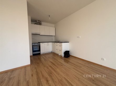 Pronájem bytu, 2+kk, 56 m²