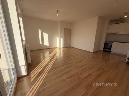 Pronájem bytu, 2+kk, 56 m²