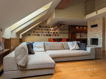 Pronájem bytu, 3+kk, 157 m²