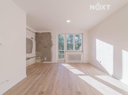 Pronájem bytu, 1+kk, 28 m²