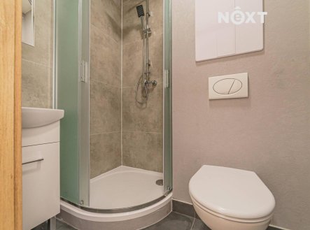 Pronájem bytu, 1+kk, 28 m²