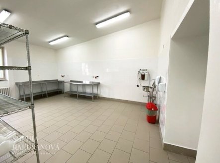 Prodej jiné komerční nemovitosti, 700 m²