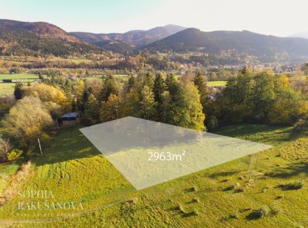 Prodej pozemku pro bydlení, 2 963 m² obrázek