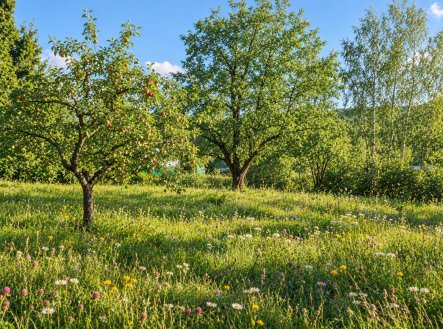 Prodej pozemku pro bydlení, 1 074 m²