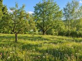 Prodej - pozemek pro bydlení, 1 074 m²