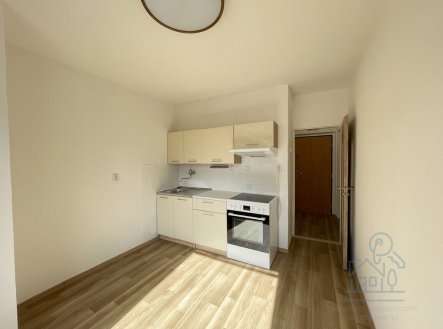 Pronájem bytu, 1+1, 46 m² obrázek