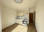 Pronájem bytu, 1+1, 46 m²