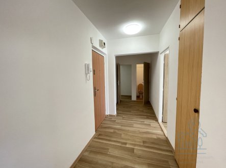 Pronájem bytu, 1+1, 46 m²