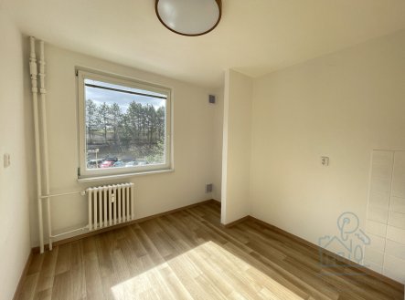 Pronájem bytu, 1+1, 46 m²