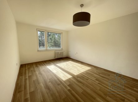 Pronájem bytu, 1+1, 46 m²