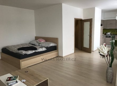 Pronájem bytu, 1+kk, 48 m²