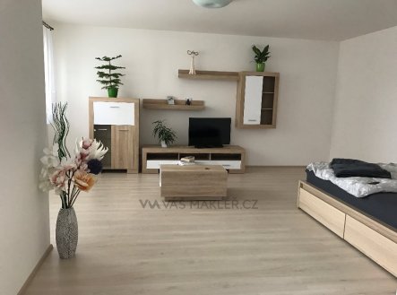 Pronájem bytu, 1+kk, 48 m² obrázek