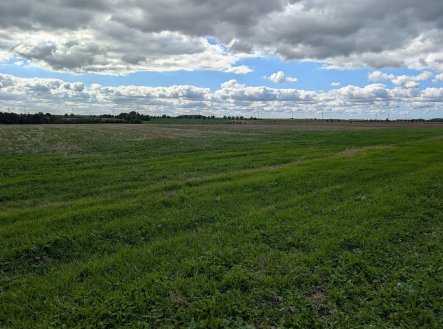 Prodej pozemku pro komerční výstavbu, 3 825 m²