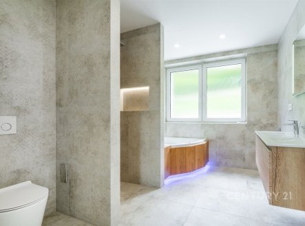 Prodej domu/vily, 309 m²