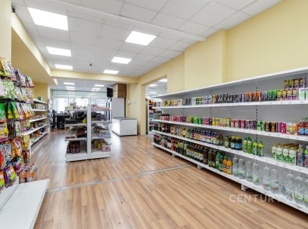 Prodej obchodní prostory, 216 m²