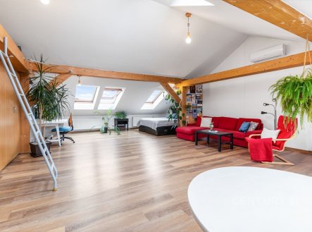 Prodej bytu, 1+1, 101 m²