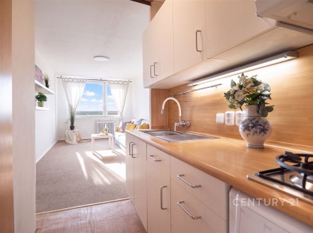 Prodej bytu, 2+kk, 44 m²
