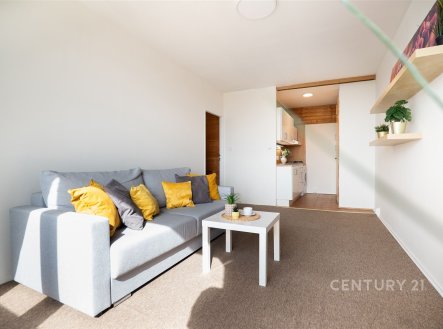 Prodej bytu, 2+kk, 44 m²