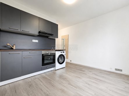 Pronájem bytu, garsoniéra, 20 m²
