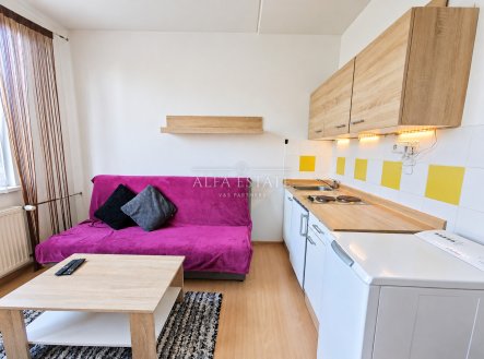Pronájem bytu, garsoniéra, 18 m²