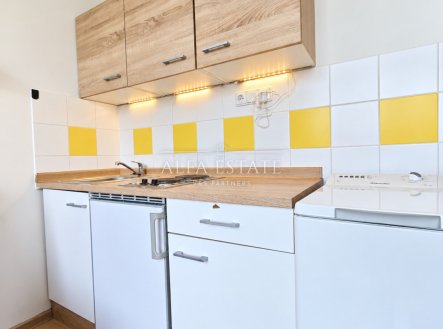 Pronájem bytu, garsoniéra, 18 m²