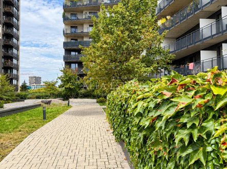 Pronájem bytu, 1+kk, 33 m²