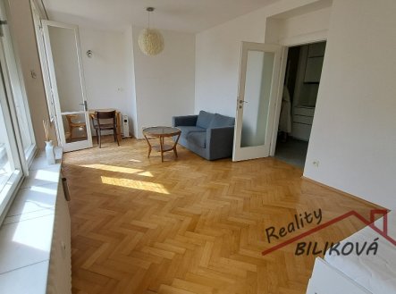Pronájem bytu, 1+1, 33 m²