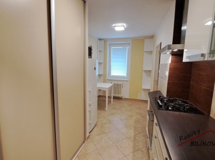 Pronájem bytu, 1+1, 42 m²