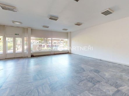 Pronájem obchodní prostory, 319 m²