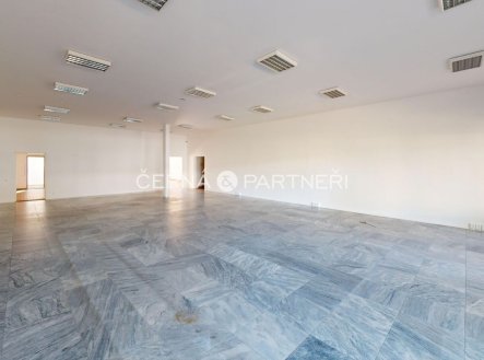 Pronájem obchodní prostory, 319 m²