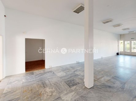 Pronájem obchodní prostory, 319 m²