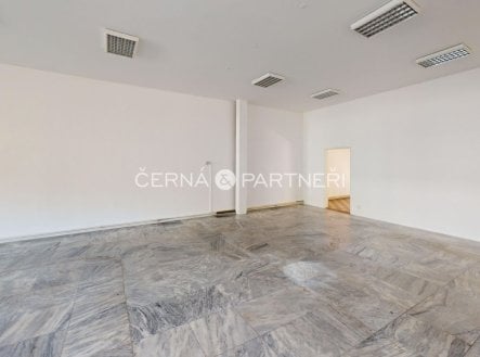 Pronájem obchodní prostory, 319 m²