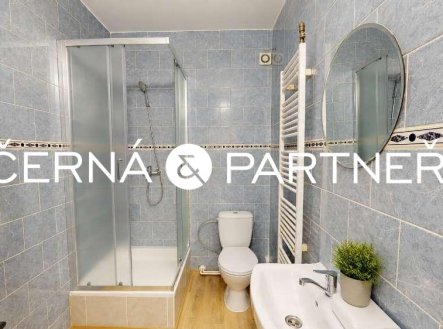 Pronájem bytu, 2+1, 55 m²