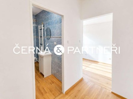 Pronájem bytu, 2+1, 55 m²